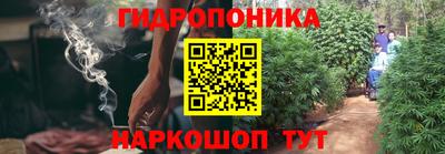 гашик Ярославль