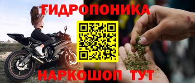 гашик Ярославль