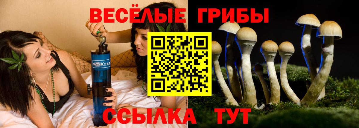 Галлюциногенные грибы прущие грибы  Вход с VPN  Калач-на-Дону 